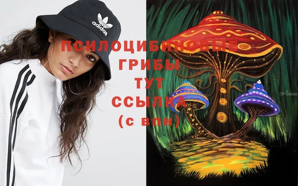 мескалин Саяногорск